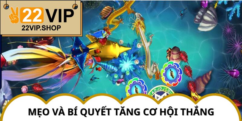 Chiến thuật từ cao thủ giúp bạn tăng tỉ lệ thắng